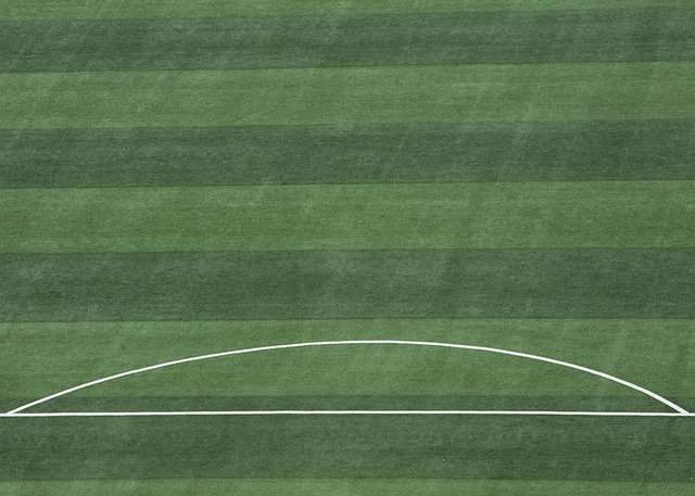 的优势不仅 的优势不仅