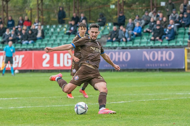 的人體內堆 的人體內堆