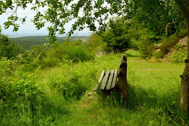 球队未来发 球队未来发