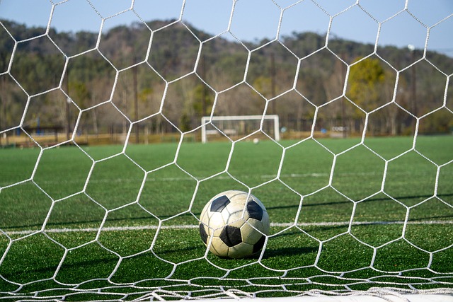 优异表现 优异表现